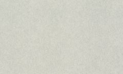 Вінілові шпалери на флізеліновій основі Rasch Raymond 957310, Сірий, Німеччина