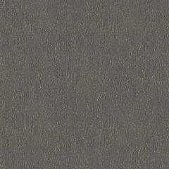Вінілові шпалери на флізеліновій основі AS Creation Amber 39593-4 Графітовий Однотон