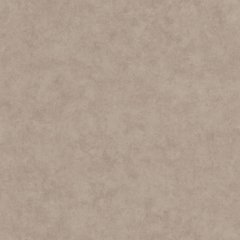 Вінілові шпалери на флізеліновій основі Caselio Beton 2 101481462 Коричневий Штукатурка, Коричневый, Франція