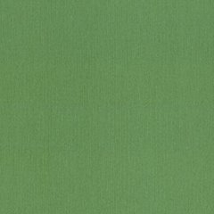 Виниловые обои на флизелиновой основе Rasch Barbara Home XL 800562, Зеленый, Германия