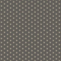 Виниловые обои на флизелиновой основе Casadeco Natsu NATS82159520 Черный Звезды, Франция