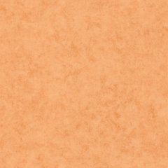 Виниловые обои на флизелиновой основе Caselio Beton 2 101483312 Оранжевый Штукатурка, Оранжевый