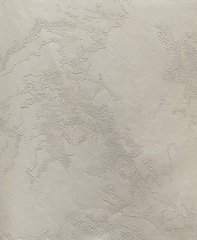 Виниловые обои на флизелиновой основе Wallife Onyx WR4903 Белый Штукатурка, Китай