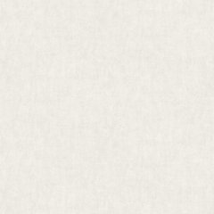 Вінілові шпалери на флізеліновій основі A.S.Creation Premium 38486-2 Білий Штукатурка, Белый, Німеччина