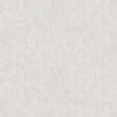 Вінілові шпалери на флізеліновій основі A.S.Creation Premium 38486-4 Сірий Штукатурка, Сірий, Німеччина