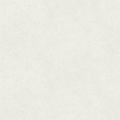 Вінілові шпалери на флізеліновій основі A.S.Creation Premium 38331-1 Білий Штукатурка, Белый, Німеччина