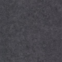 Виниловые обои на флизелиновой основе Caselio Beton 2 101489899 Черный Штукатурка, Черный, Франция