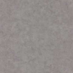 Вінілові шпалери на флізеліновій основі Caselio Beton 2 101489600 Сірий Штукатурка, Сірий, Франція