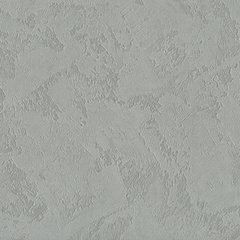 Вінілові шпалери на флізеліновій основі A.S.Creation Perfect 38810-1 Срібний Штукатурка, Серебрянный, Німеччина
