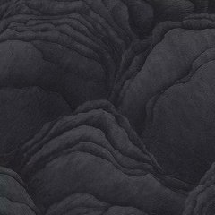Вінілові шпалери на флізеліновій основі Erismann Focus 12152-15 Чорний Штукатурка, Черный, Німеччина
