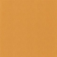 Вінілові шпалери на флізеліновій основі Natte Caselio NAE101563030, Оранжевый, Франція