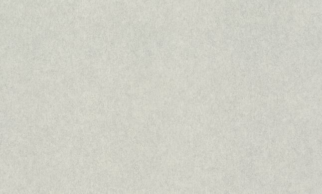 Вінілові шпалери на флізеліновій основі Rasch Raymond 957310, Сірий, Німеччина