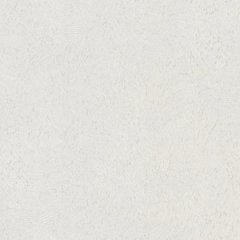 Виниловые обои на флизелиновой основе Grandeco Illusion A59101 Белый Штукатурка