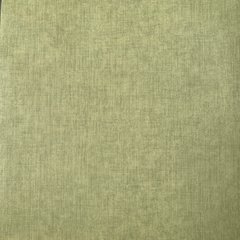 Вінілові шпалери на паперовій основі Limonta Gardena 51803 Зелений Штукатурка