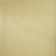Вінілові шпалери на паперовій основі Limonta Gardena 51814 Жовтий Штукатурка