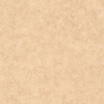 Виниловые обои на флизелиновой основе Caselio Beton 2 101482446 Коричневый Штукатурка, Коричневый