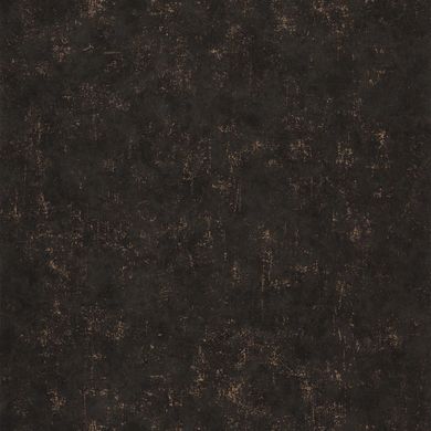 Виниловые обои на флизелиновой основе Caselio Beton 2 101499390 Черный Штукатурка, Черный