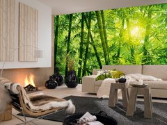 Фотообои на стену : Бамбуковый лес №123