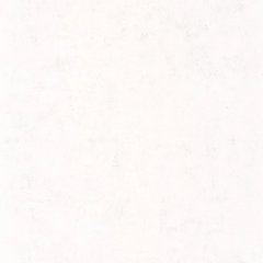 Вінілові шпалери на флізеліновій основі Caselio Beton 2 101480000 Білий Штукатурка, Белый, Франція