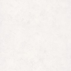Вінілові шпалери на флізеліновій основі Caselio Patine 2 100229003 Білий Штукатурка, Франція