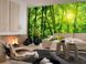 Фотообои на стену : Бамбуковый лес №123