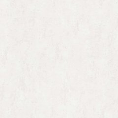 Вінілові шпалери на флізеліновій основі Erismann Fashion for Walls 4 12185-26 Білий Штукатурка