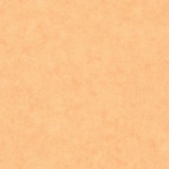 Вінілові шпалери на флізеліновій основі Caselio Beton 2 101483250 Помаранчевий Штукатурка, Оранжевый