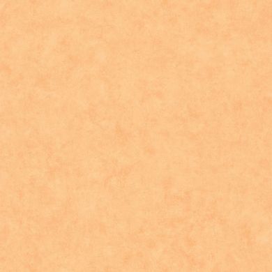 Виниловые обои на флизелиновой основе Caselio Beton 2 101483250 Оранжевый Штукатурка, Оранжевый