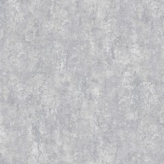 Виниловые обои на флизелиновой основе Erismann Fashion for Walls 4 12185-31 Серый Штукатурка