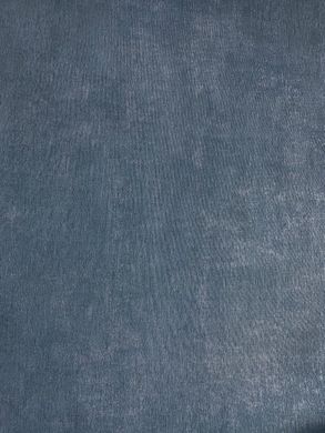 Вінілові шпалери на флізеліновій основі BN International Color Stories 18456 Синій Штукатурка