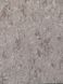 Вінілові шпалери на флізеліновій основі AS Creation El Palacio 38929-3 Сірий Штукатурка, Німеччина