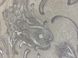 Вінілові шпалери на флізеліновій основі Decori&Decori Damasco Reale 73405 Срібний Вензель