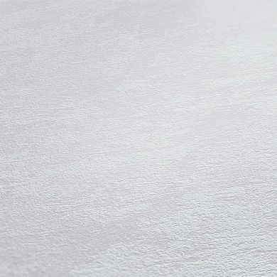 Вінілові шпалери на флізеліновій основі AS Creation Attractive 37838-5 Сірий Штукатурка, Німеччина