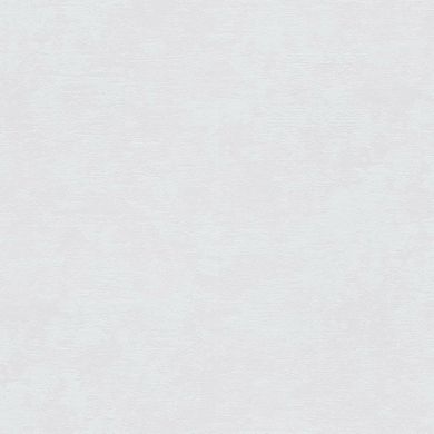 Виниловые обои на флизелиновой основе AS Creation Attractive 37838-5 Серый Штукатурка, Германия