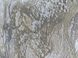 Вінілові шпалери на флізеліновій основі Decori&Decori Carrara 2 83667 Бронзовий Штукатурка, Італія