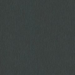 Вінілові шпалери на флізеліновій основі Erismann Fashion for Walls 4 12186-15 Чорний Однотон