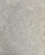 Вінілові шпалери на флізеліновій основі Decori&Decori Damasco Reale 73410 Білий Штукатурка