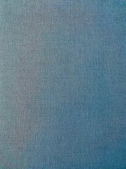 Виниловые обои на флизелиновой основе Grandeco Opportunity Wallcoverings Q0099 Синий Однотон