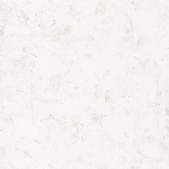 Вінілові шпалери на флізеліновій основі Caselio Patine 2 100220102 Білий Штукатурка, Франція