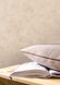 Вінілові шпалери на флізеліновій основі Caselio Patine 2 100221697 Бежевий Штукатурка, Франція