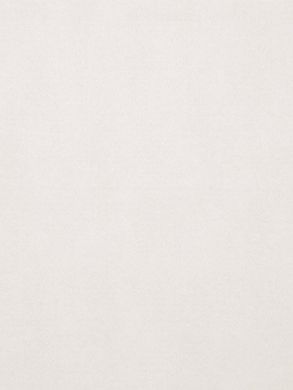 Вінілові шпалери на флізеліновій основі Ugepa Couleurs F79317, Белый, Франція