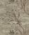 Виниловые обои на флизелиновой основе Asian Bellamore 196002, Бежевый, Китай