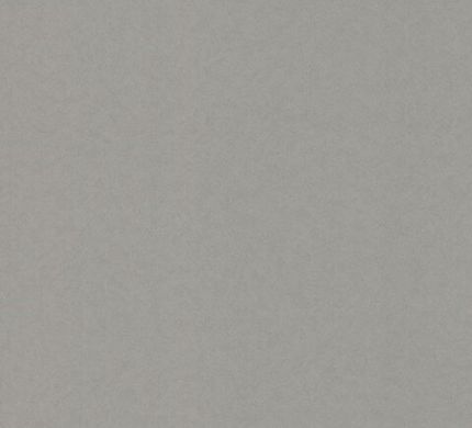 Вінілові шпалери на флізеліновій основі BN Tailor 2 4249350, Сірий, Нідерланди