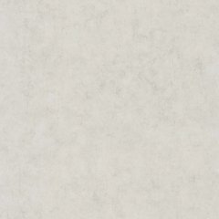 Вінілові шпалери на флізеліновій основі Caselio Beton 2 101489050 Сірий Штукатурка, Сірий