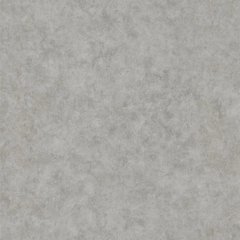 Вінілові шпалери на флізеліновій основі Caselio Beton 2 101489243 Сірий Штукатурка, Сірий