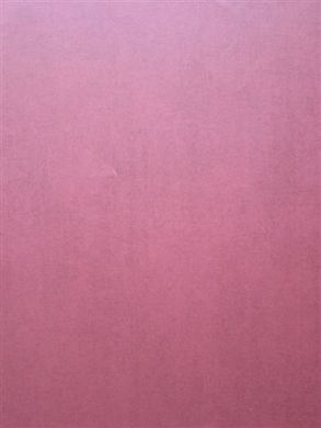 Вінілові шпалери на флізеліновій основі Ugepa Couleurs F79320, Розовый, Франція
