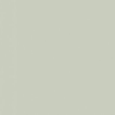 Вінілові шпалери на флізеліновій основі AS Creation New Life 37680-1, Бледно-салатовые, Німеччина