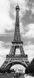 Фотошпалери на дверь: город Париж, Эйфелева башня №524