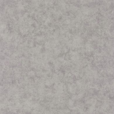 Виниловые обои на флизелиновой основе Caselio Beton 2 101489550 Серый Штукатурка, Серый, Франция