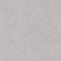 Виниловые обои на флизелиновой основе Caselio Beton 2 101489460 Серый Штукатурка, Серый, Франция